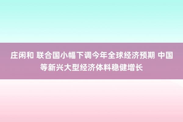 莊閑和 聯合國小幅下調今年全球經濟預期 中國等新興大型經濟體料穩健增長