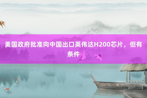 美國政府批準(zhǔn)向中國出口英偉達(dá)H200芯片，但有條件