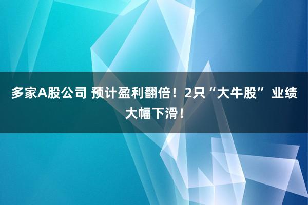 多家A股公司 預計盈利翻倍！2只“大牛股” 業績大幅下滑！