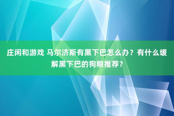 莊閑和游戲 馬爾濟斯有黑下巴怎么辦？有什么緩解黑下巴的狗糧推薦？