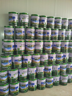 安徽地區(qū)防銹調(diào)合漆 效果圖、產(chǎn)品圖、型號(hào)圖與工程應(yīng)用全覽