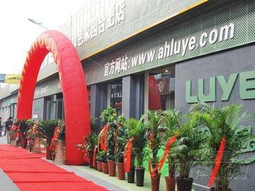 綠野綠色家園安徽旗艦店盛大開業，引領綠色建材新風尚